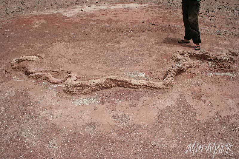 Mud Maps Africa Agadez dinosaur bones 3383